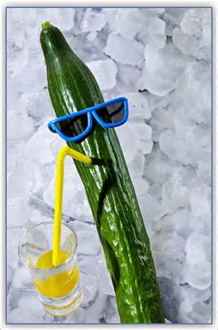 Cool as a cucumber